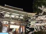 滋賀県有数の桜の名所三井寺山門