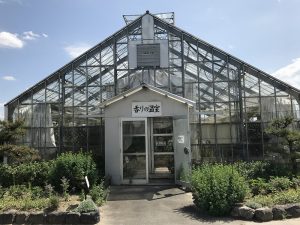 もりやまバラ・ハーブ園は、滋賀県守山市にある植物園です。