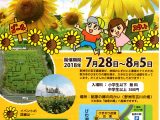 滋賀県野洲市ひまわり迷路パンフレット